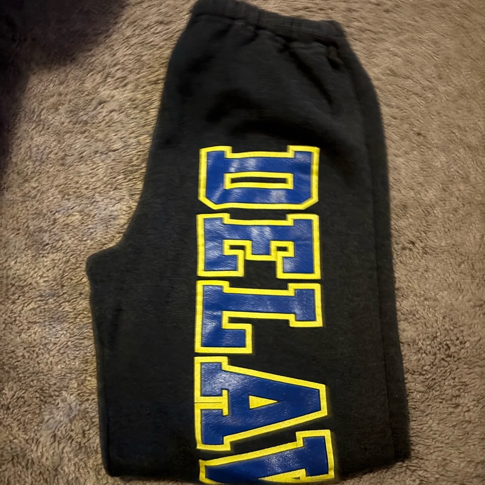 Delaware sweatpants
